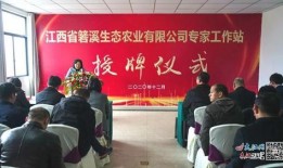 武宁新闻爆料事件,真相与舆论的交织