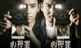 心理罪2全集在线观看,罪与罚——揭秘犯罪心理的惊悚之旅